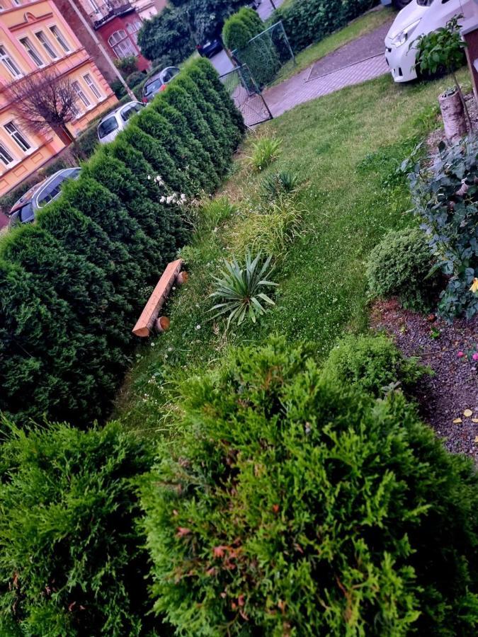 Apartament Lux Lemon Jelenia Góra Exterior foto