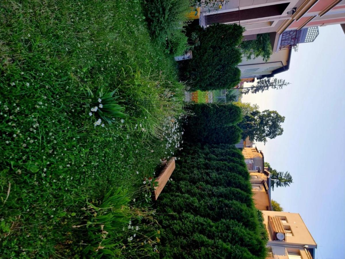 Apartament Lux Lemon Jelenia Góra Exterior foto